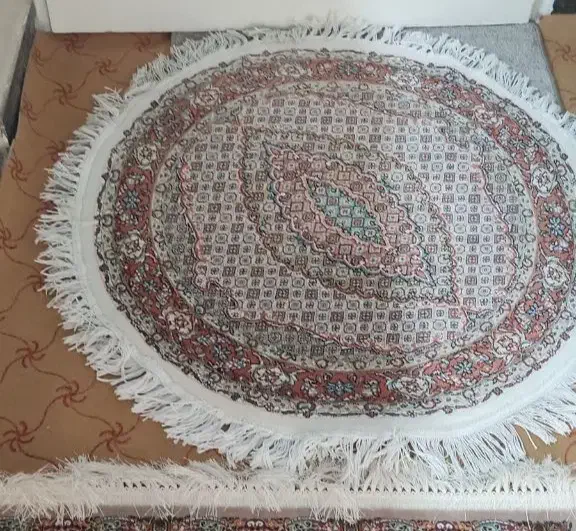 ریز ماهی گرد|پادری|کرج, عظیمیه|دیوار