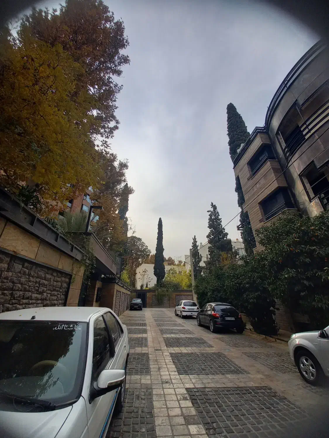 ۲۰۰متری/۳خوابه/تاپ لوکیشن/ رادفر|اجارهٔ آپارتمان|شیراز, کوی آزادگان|دیوار