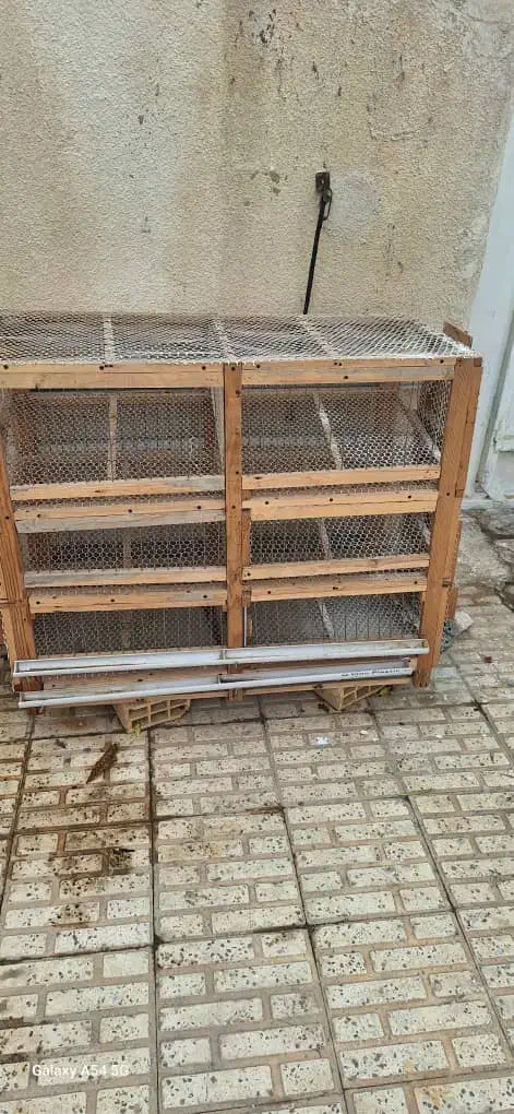 قفس بلدرچین|لوازم جانبی حیوانات|بوشهر, |دیوار