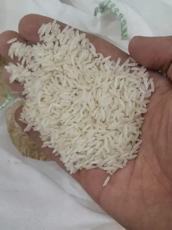 برنج خوشپخت|خوردنی و آشامیدنی|مشهد, نظام دوست|دیوار