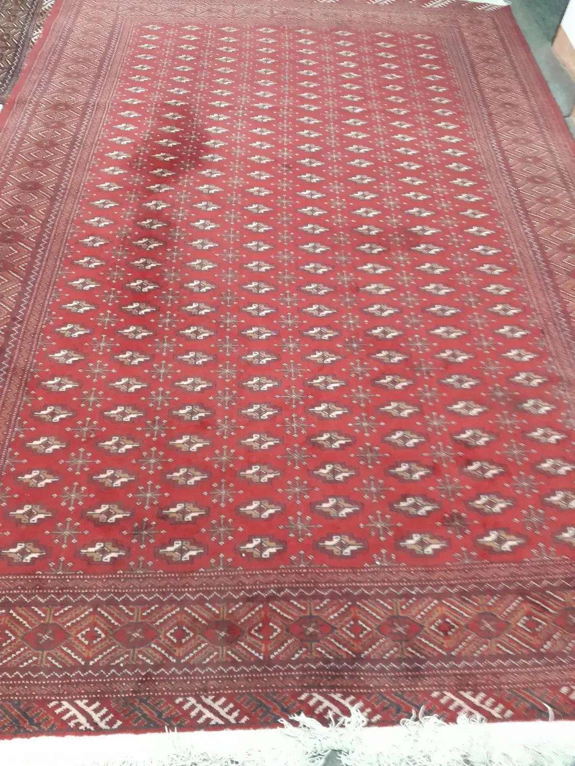فرش|فرش|گرگان, |دیوار