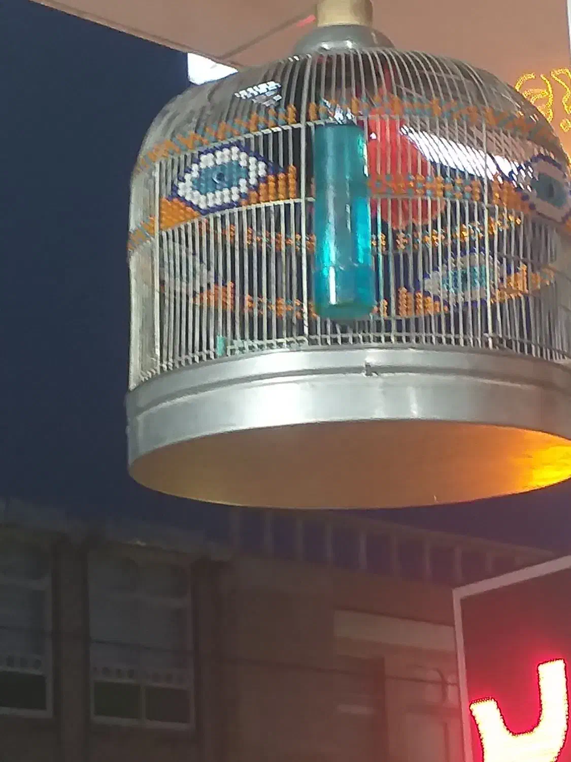 سهره قناری|پرنده|مرودشت, ژیان|دیوار