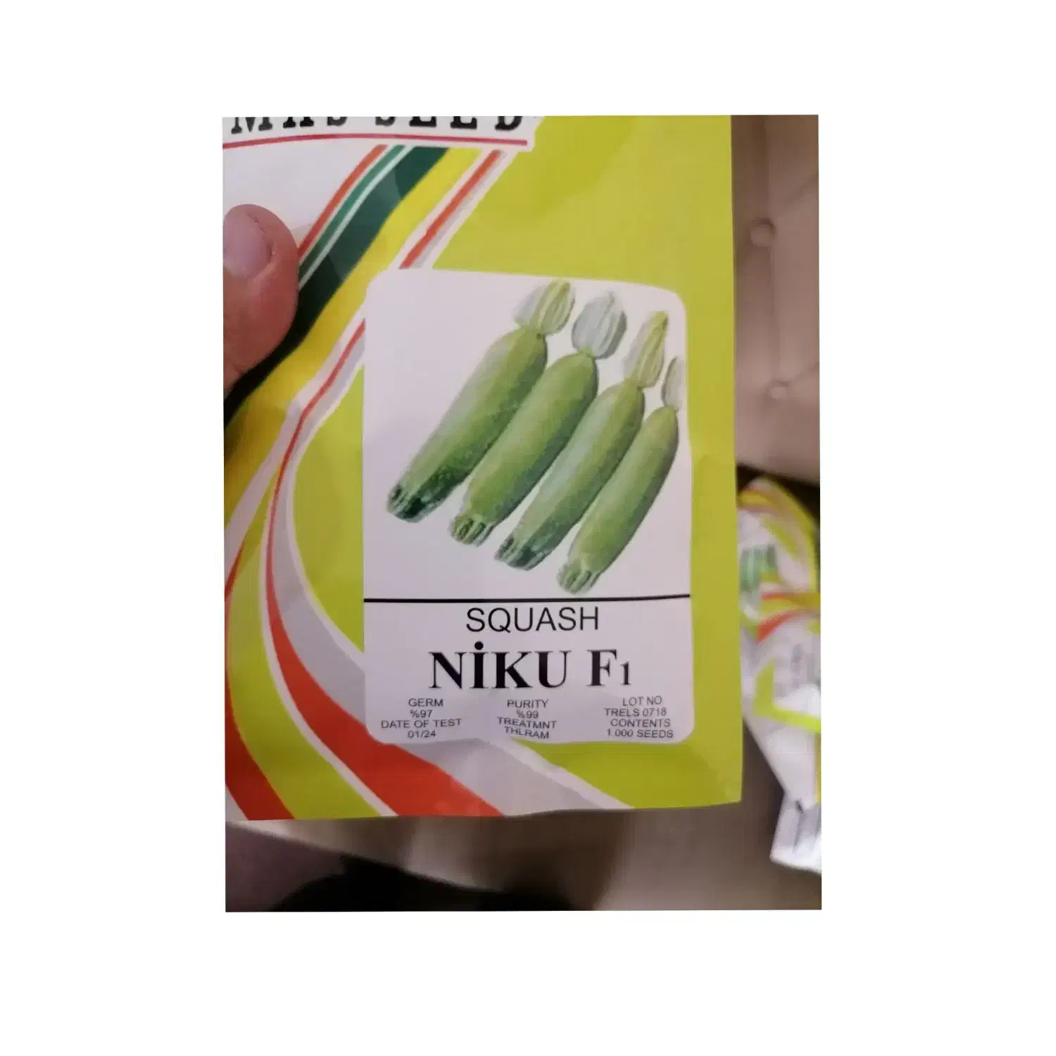 بهترین رقم های کدو خورشتی خارجی|حراج|جیرفت, |دیوار