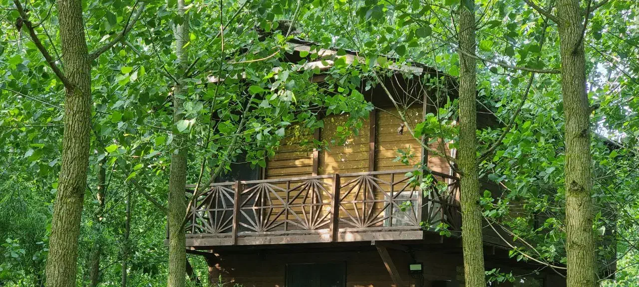 فروش ویلا / بهترین فرصت تا رویاهات رو زندگی کنی|فروش خانه و ویلا|بیجار, |دیوار