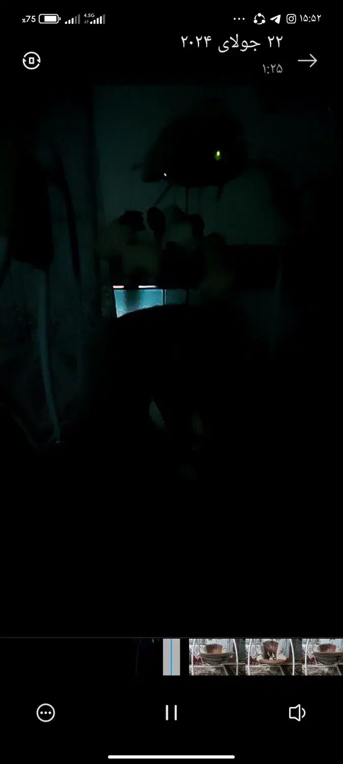 تاب برقی|اسباب و اثاث بچه|گنبد کاووس, |دیوار