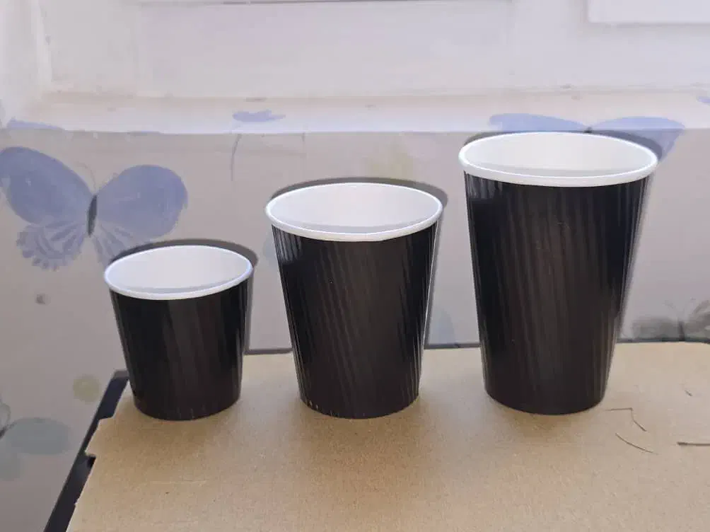 انواع لیوان کاغذی تک و دو جدلره|ظروف نگهدارنده، پلاستیکی، یک‌بارمصرف|هشتگرد, شهرک ولیعصر (مصلی)|دیوار