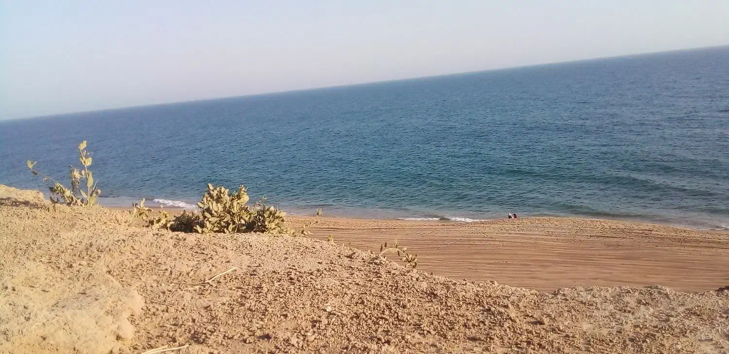 کوه پیمایی|فعالیت داوطلبانه|بیرجند, |دیوار