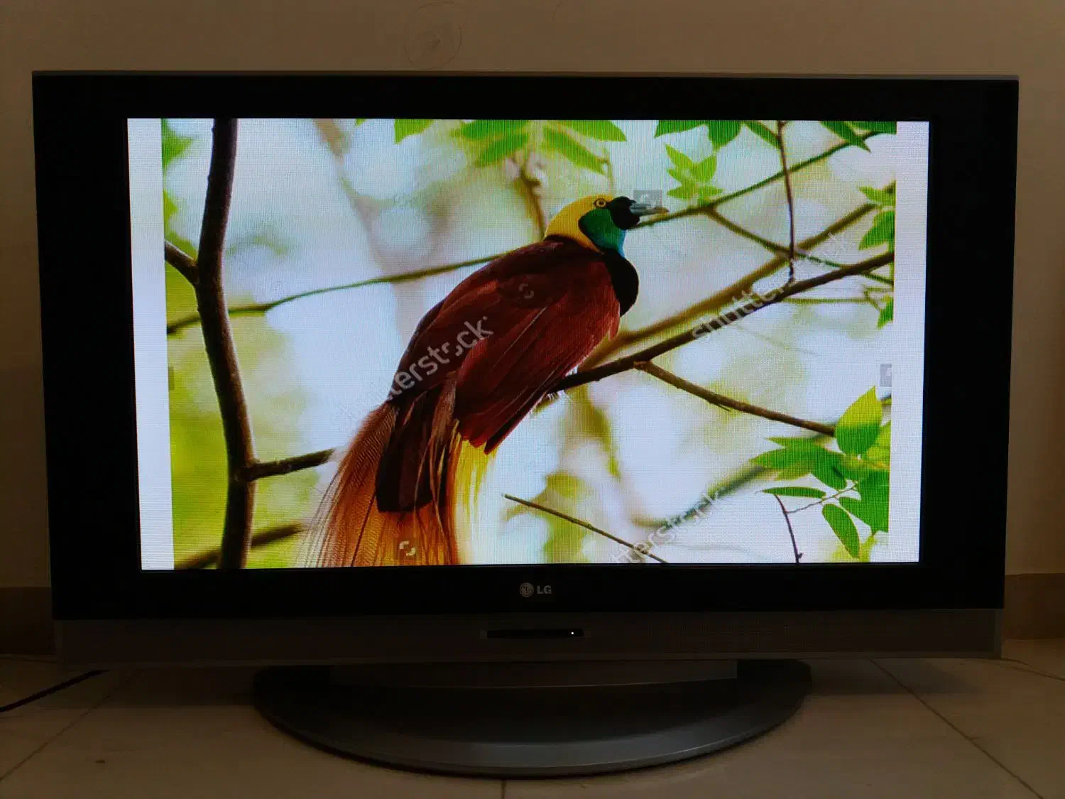 تلوزیون LCD  LG اینچ ۴۲|تلویزیون و پروژکتور|نهاوند, |دیوار