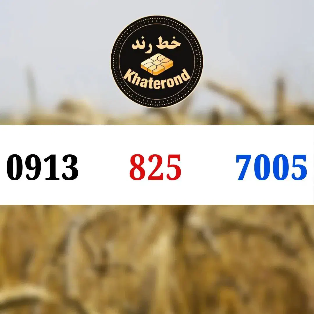 0913.825.7005|سیم‌کارت|اصفهان, خواجو|دیوار