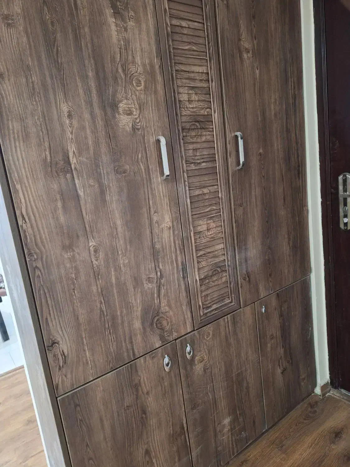 جا لباسی جا کفشی|جاکفشی، کمد، دراور|تهران, باغ فیض|دیوار