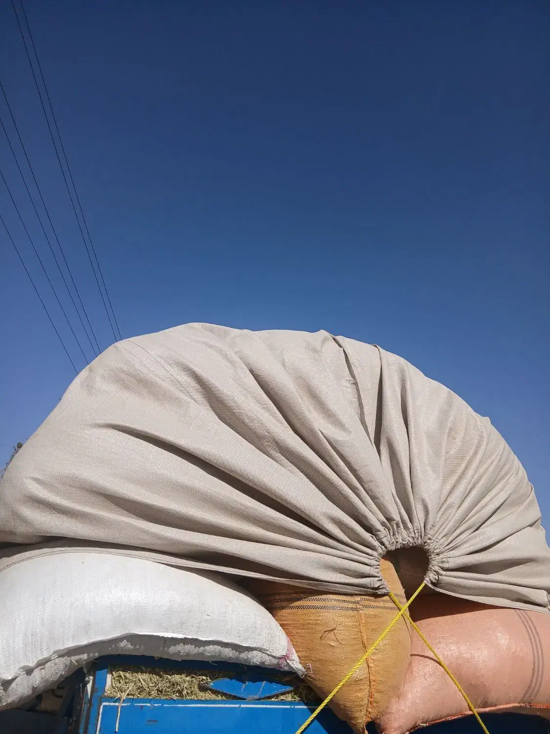 کاه لوبیا|عمده‌فروشی|حبیب آباد, |دیوار