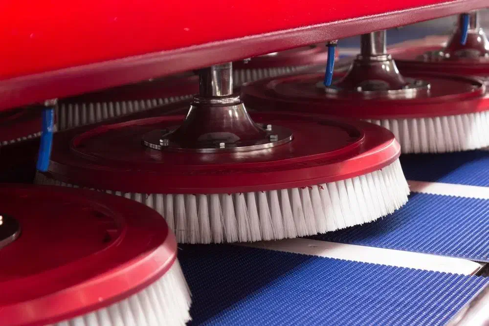 قالیشویی((شهرایران))بدون لک وشکستگی قالی شویی ومبل|خدمات نظافت|مشهد, طلاب|دیوار