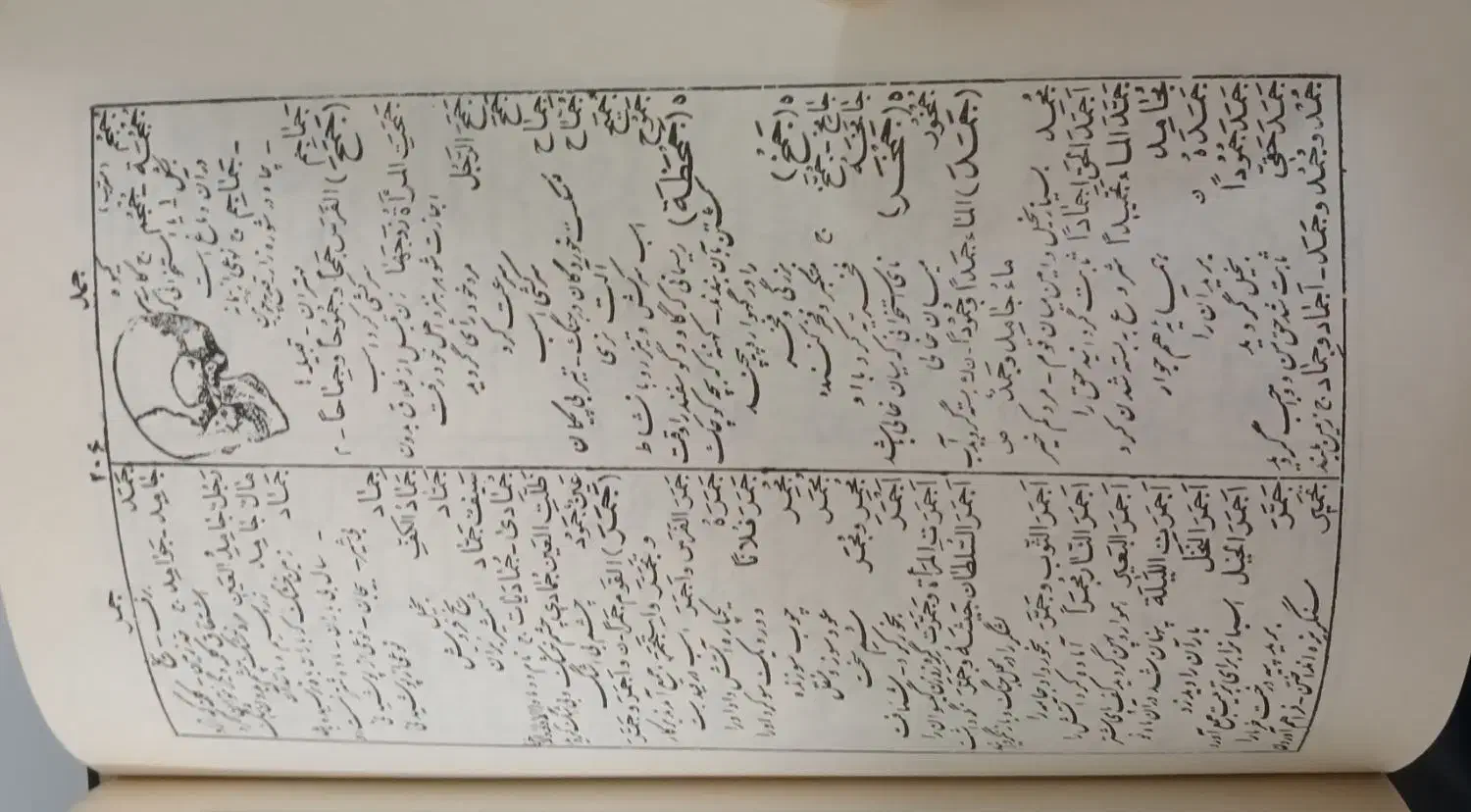 کتاب «فرهنگ جامع فارسی» چاپ قدیمی و کلکسیونی|کتاب و مجله ادبی|خمینی‌شهر, |دیوار