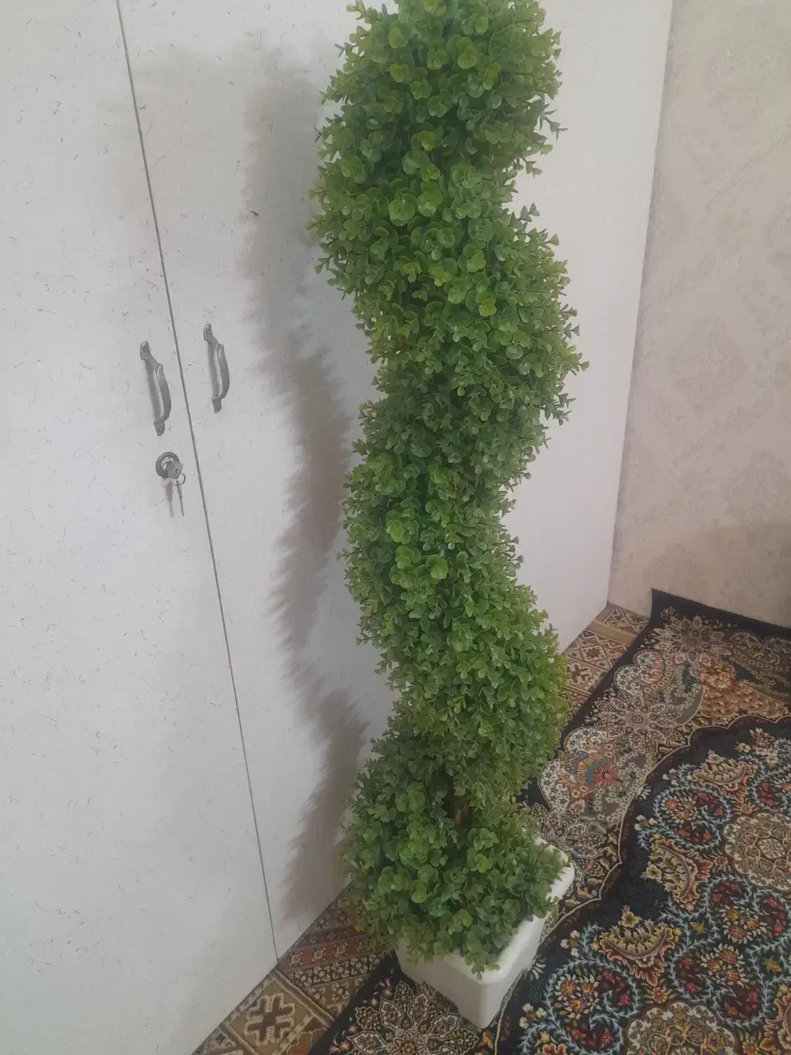 درختچه تمیز درحدنو|گل مصنوعی|قم, زند آباد|دیوار