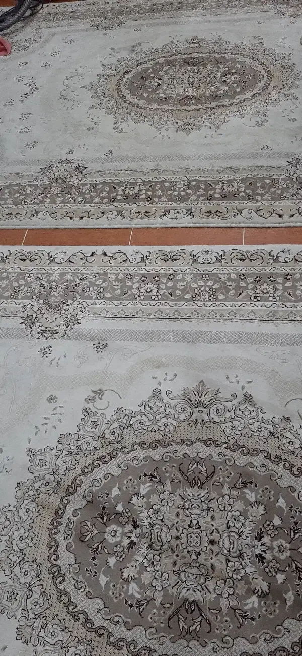 فرش ۶متری|فرش|رشت, حمیدیان|دیوار