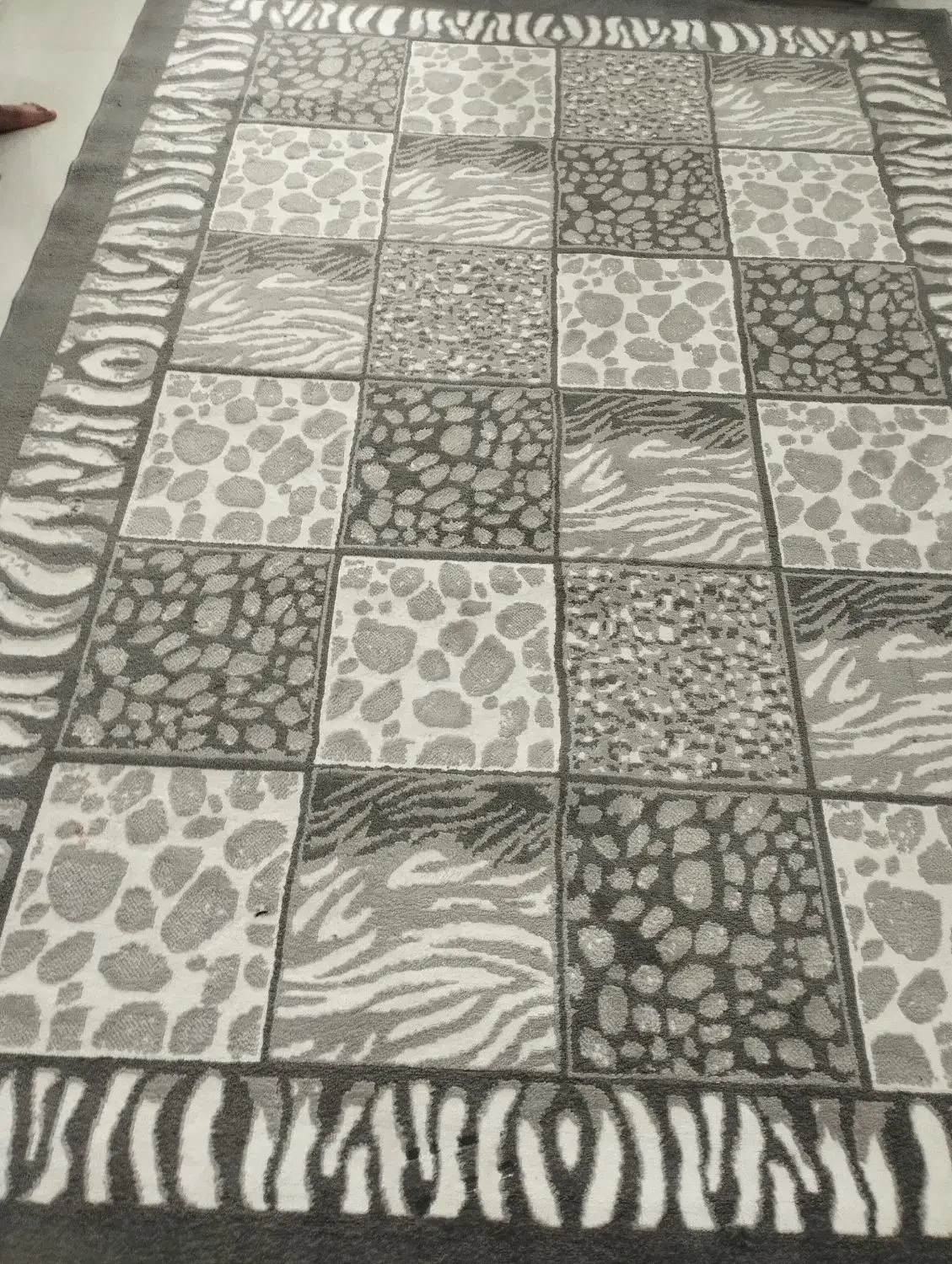 گلیم فرش ۶ متری|گلیم، جاجیم، گبه|کوهدشت, |دیوار