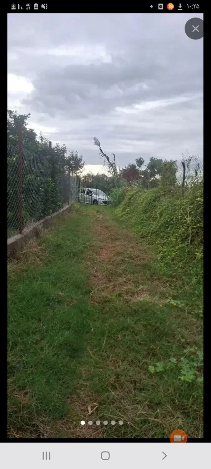 فروش زمین کشاورزی جنب آزادراه قائمشهر ساری|فروش دفتر صنعتی، کشاورزی، تجاری|قائم‌شهر, |دیوار