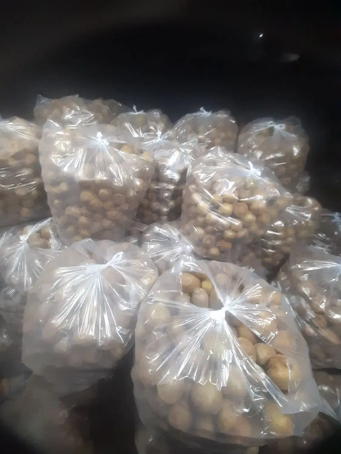 تامینوفروشکیویریز|خدمات باغبانی و درختکاری|لیسار, |دیوار