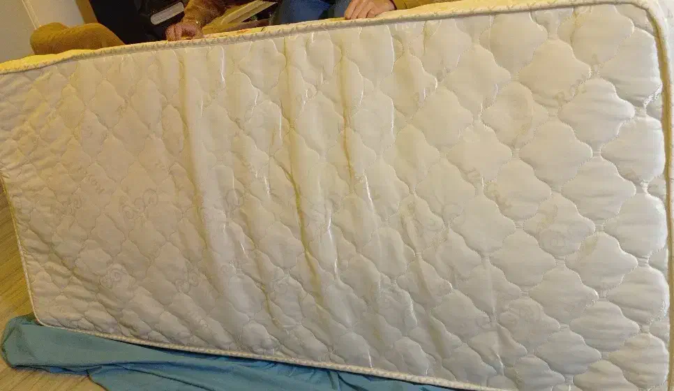 تشک تک نفره رویال|تشک تختخواب|فومن, |دیوار