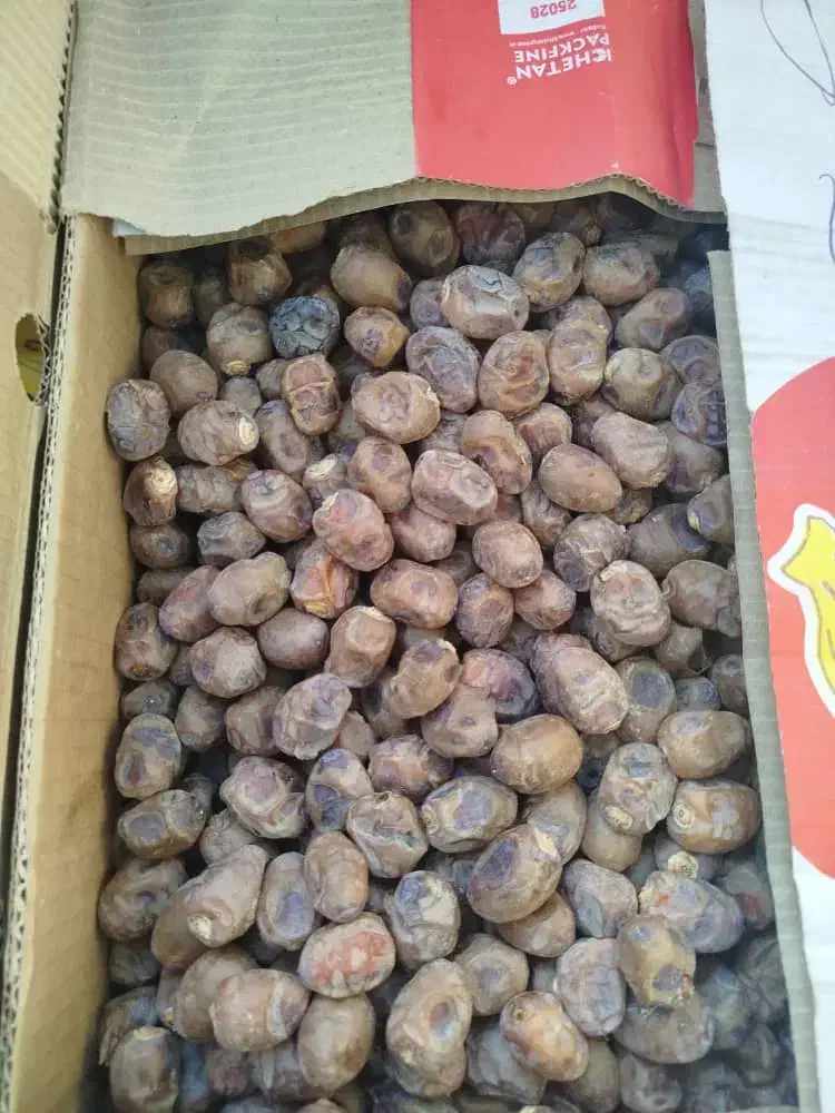 خرما برحی|خوردنی و آشامیدنی|تهران, آرژانتین|دیوار