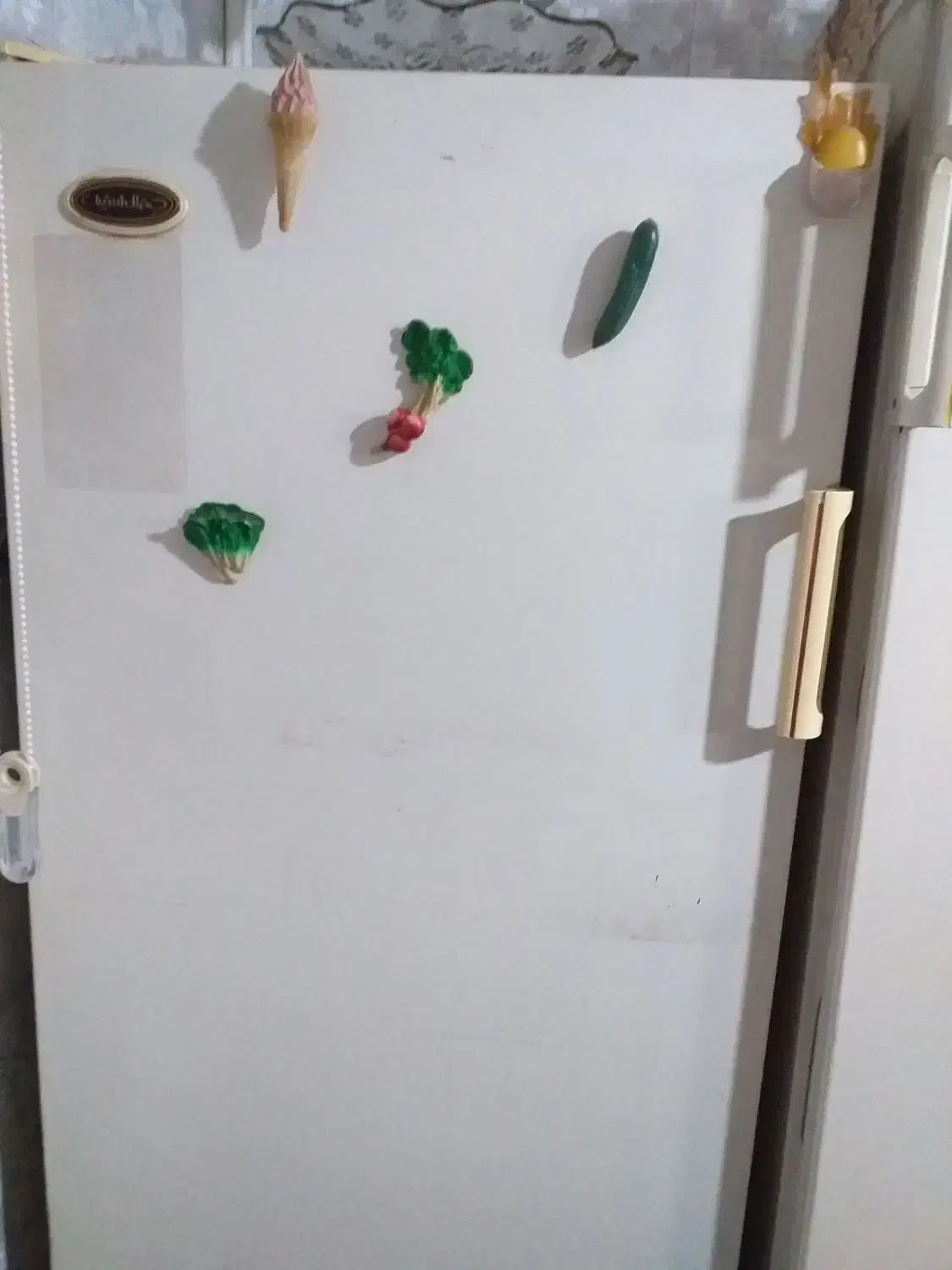 فریزر و معمولی یخچال|یخچال و فریزر|اقبالیه, |دیوار