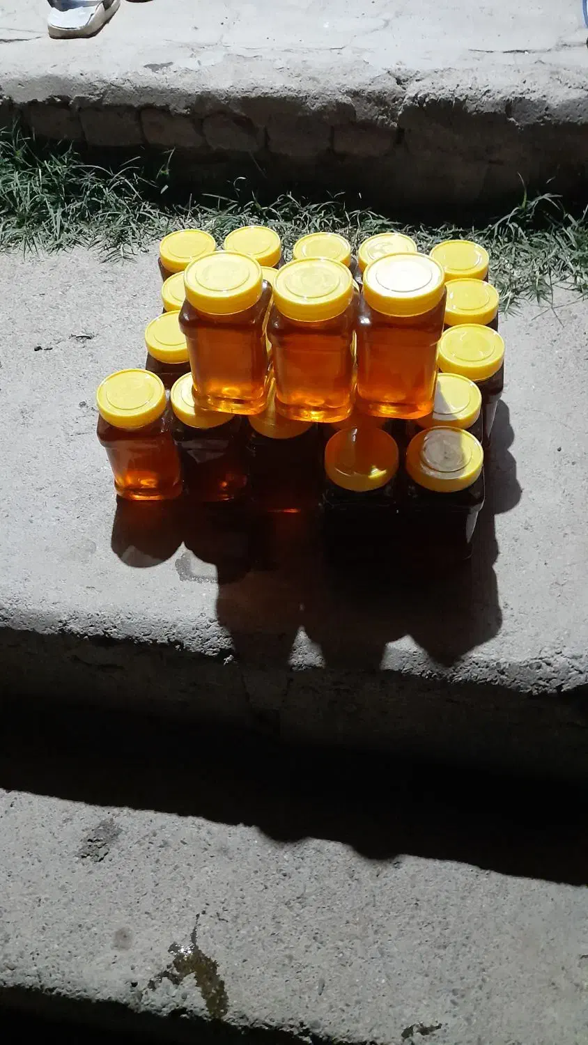 عسل طبیعی|خوردنی و آشامیدنی|محمدبار, |دیوار