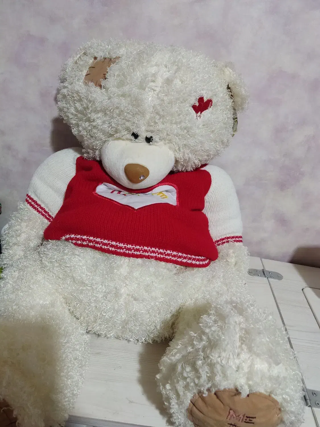 کادویی عروسک ماگ باکس گل ولنتاین|اسباب‌‌بازی|اصفهان, صدف|دیوار