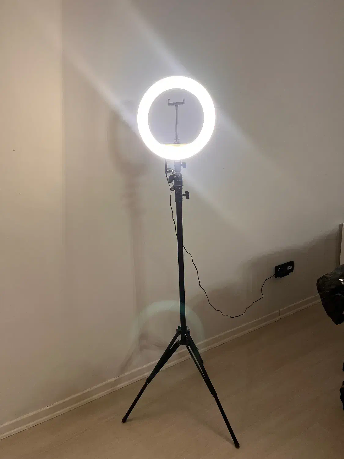 رینگ لایت|لامپ و چراغ|گرگان, |دیوار