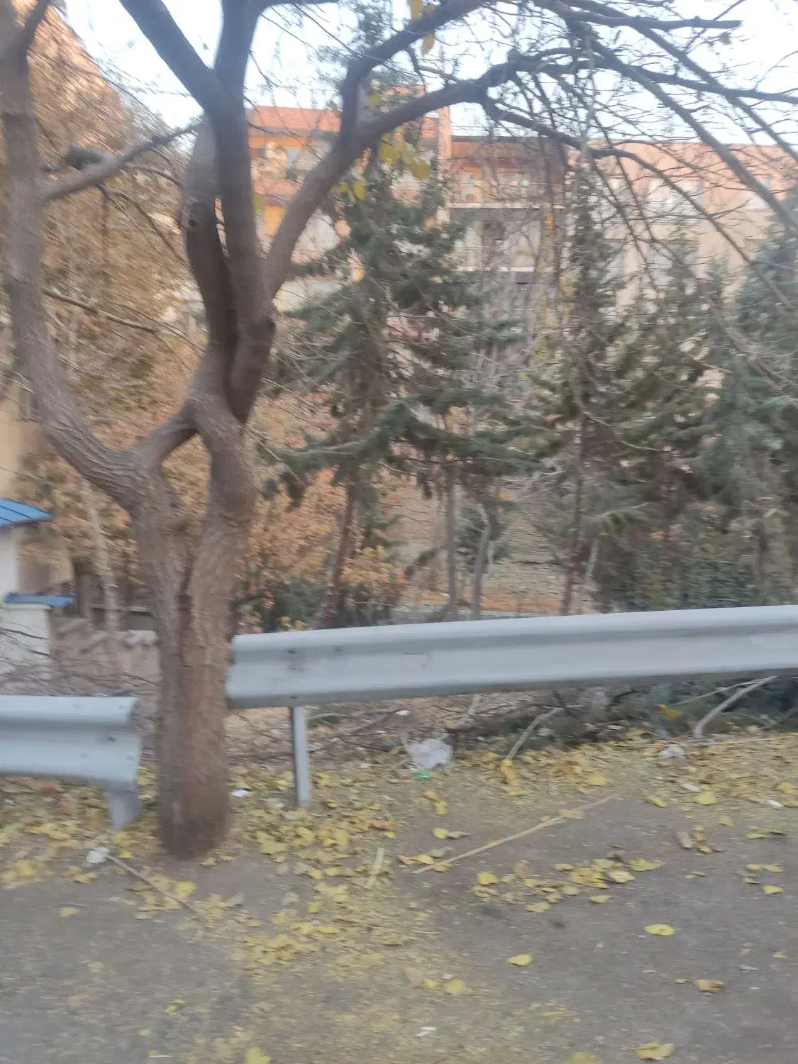 کمپ اجباری و اختیاری ترک اعتیاد ندای ارامش|خدمات آرایشگری و زیبایی|تهران, دربند|دیوار