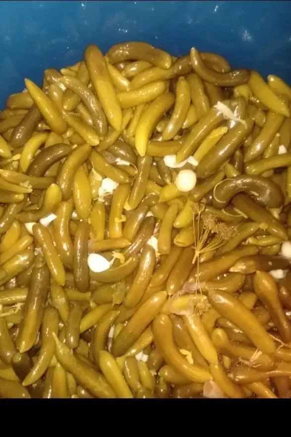 خیارشورهمدان درجه ۱ساندویچی|خوردنی و آشامیدنی|شوشتر, |دیوار