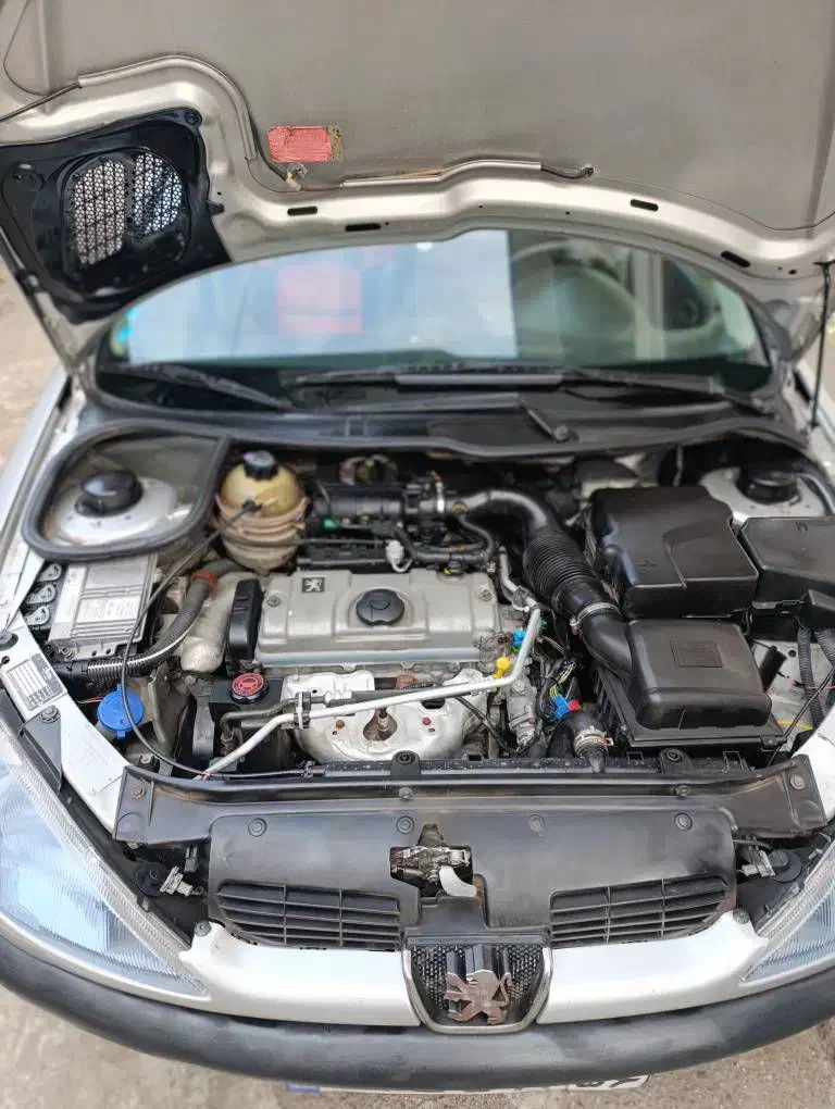 ۲۰۶ تیپ ۲ نقره ای|خودرو سواری و وانت|لاهیجان, قیام|دیوار