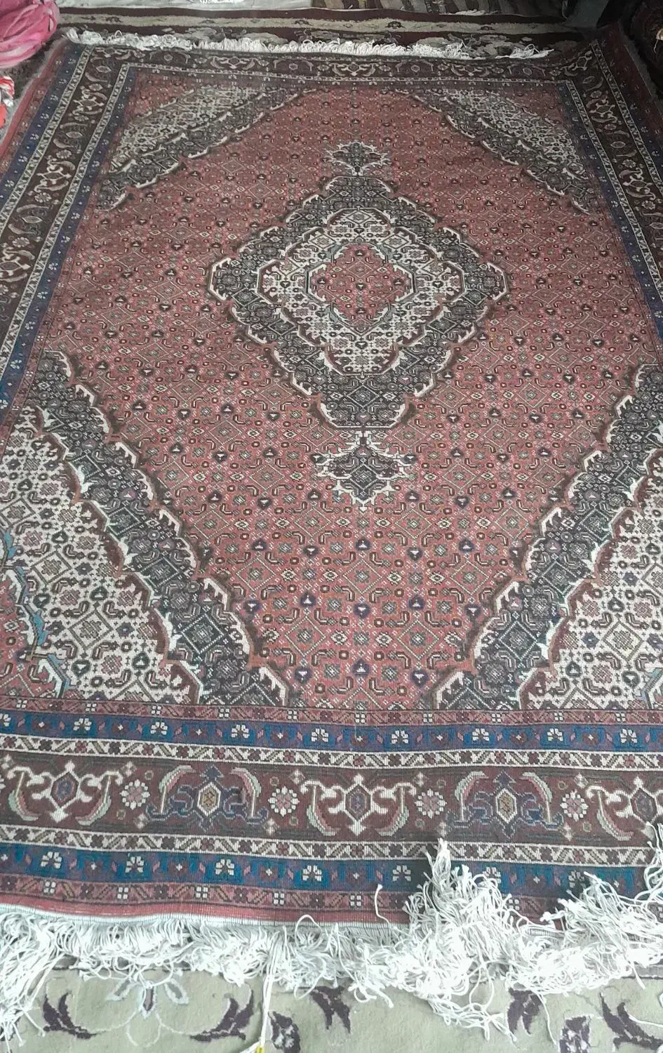 فرش دستبافت ۶ متری۳در۲|فرش|اردبیل, |دیوار
