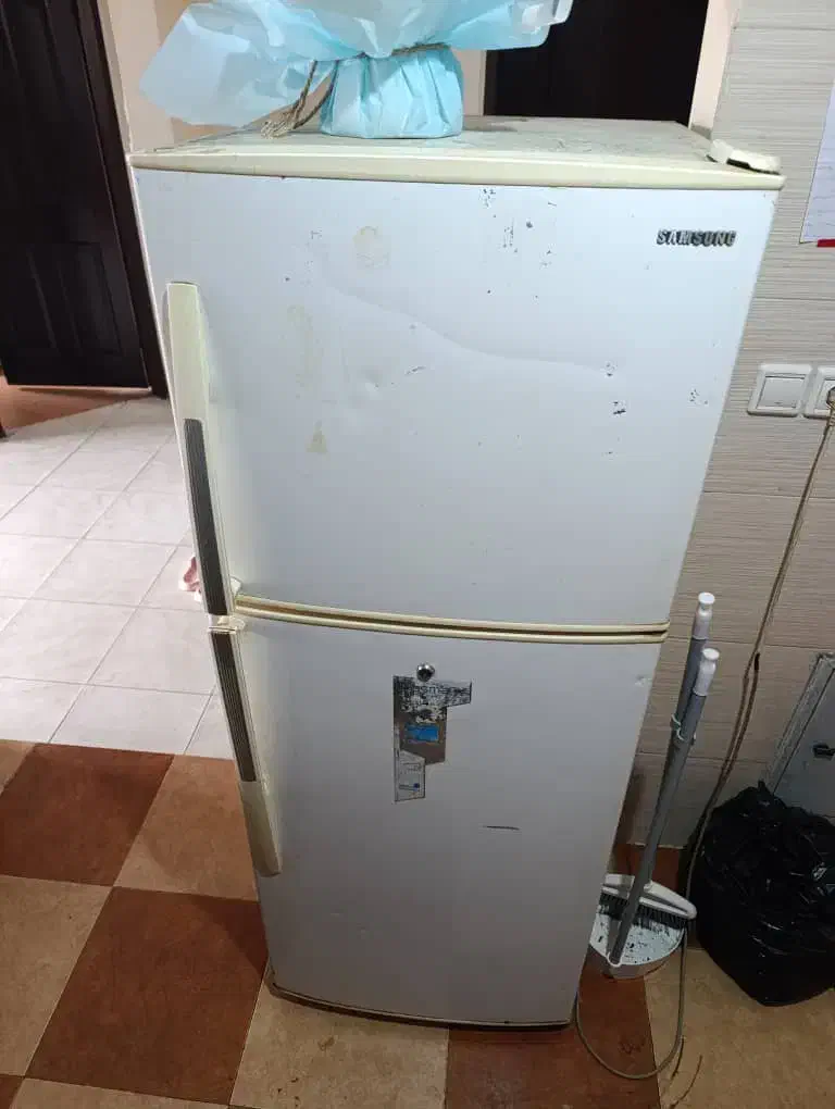 یخچال|یخچال و فریزر|شیراز, باغ تخت|دیوار