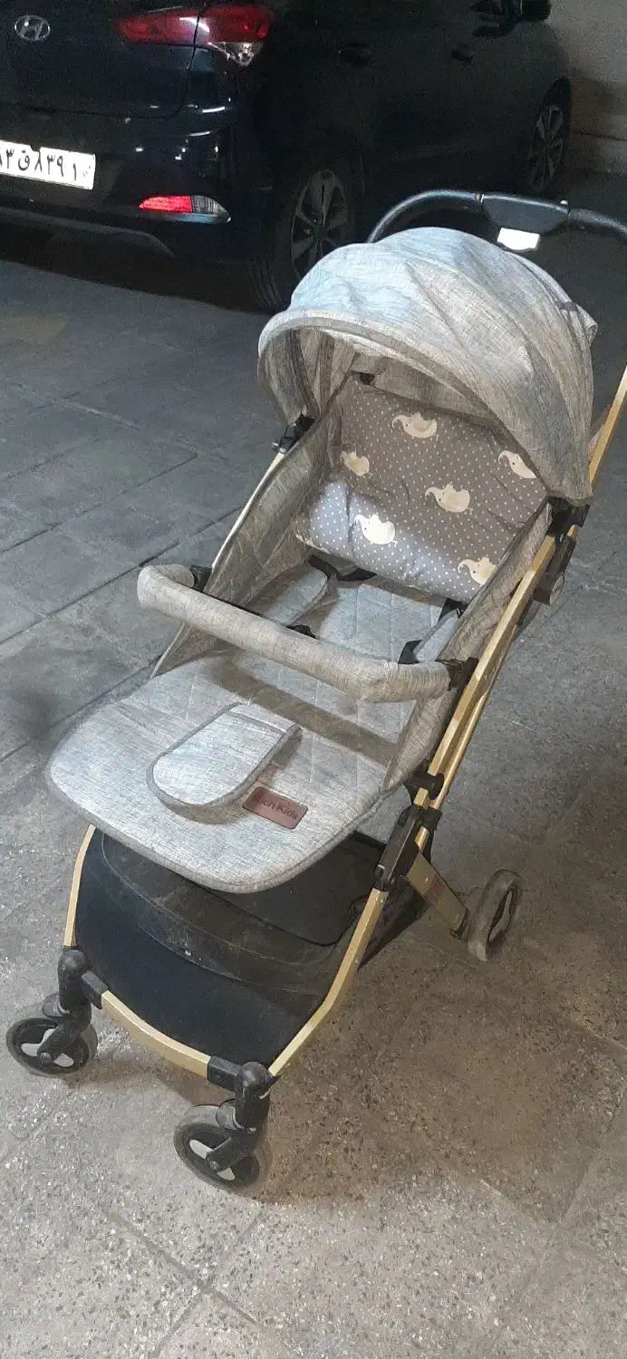 کالسکه  دلیجان|کالسکه و لوازم جانبی|تهران, آسمان|دیوار