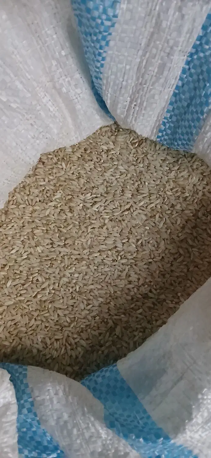 برنج چمپا|خوردنی و آشامیدنی|چیتاب, |دیوار