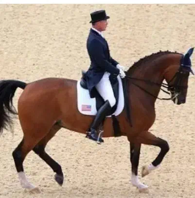 آموزش سوارکاری|خدمات آموزشی|تهران, شهرک چیتگر|دیوار