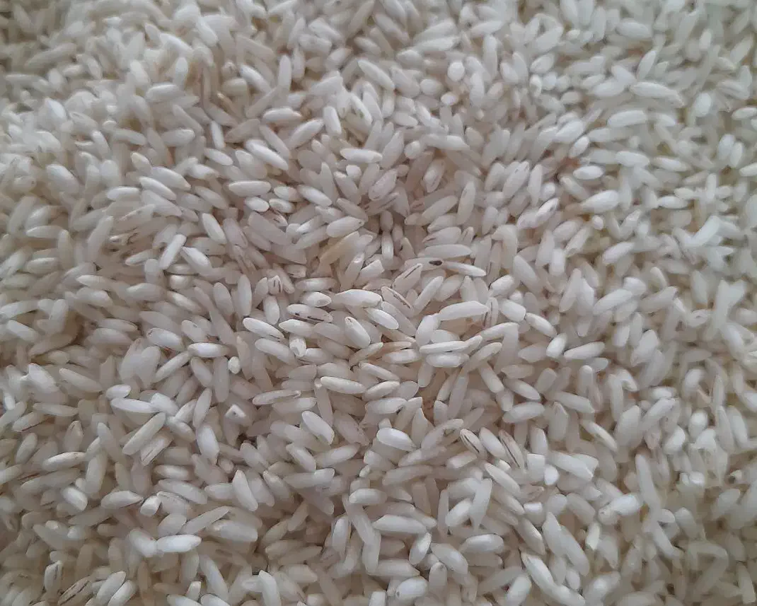 برنج طارم شمال|خوردنی و آشامیدنی|زرند, |دیوار