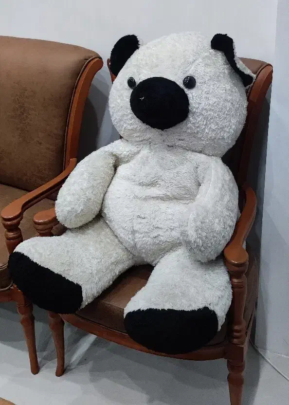 خرس گنده|اسباب‌‌بازی|اردبیل, |دیوار