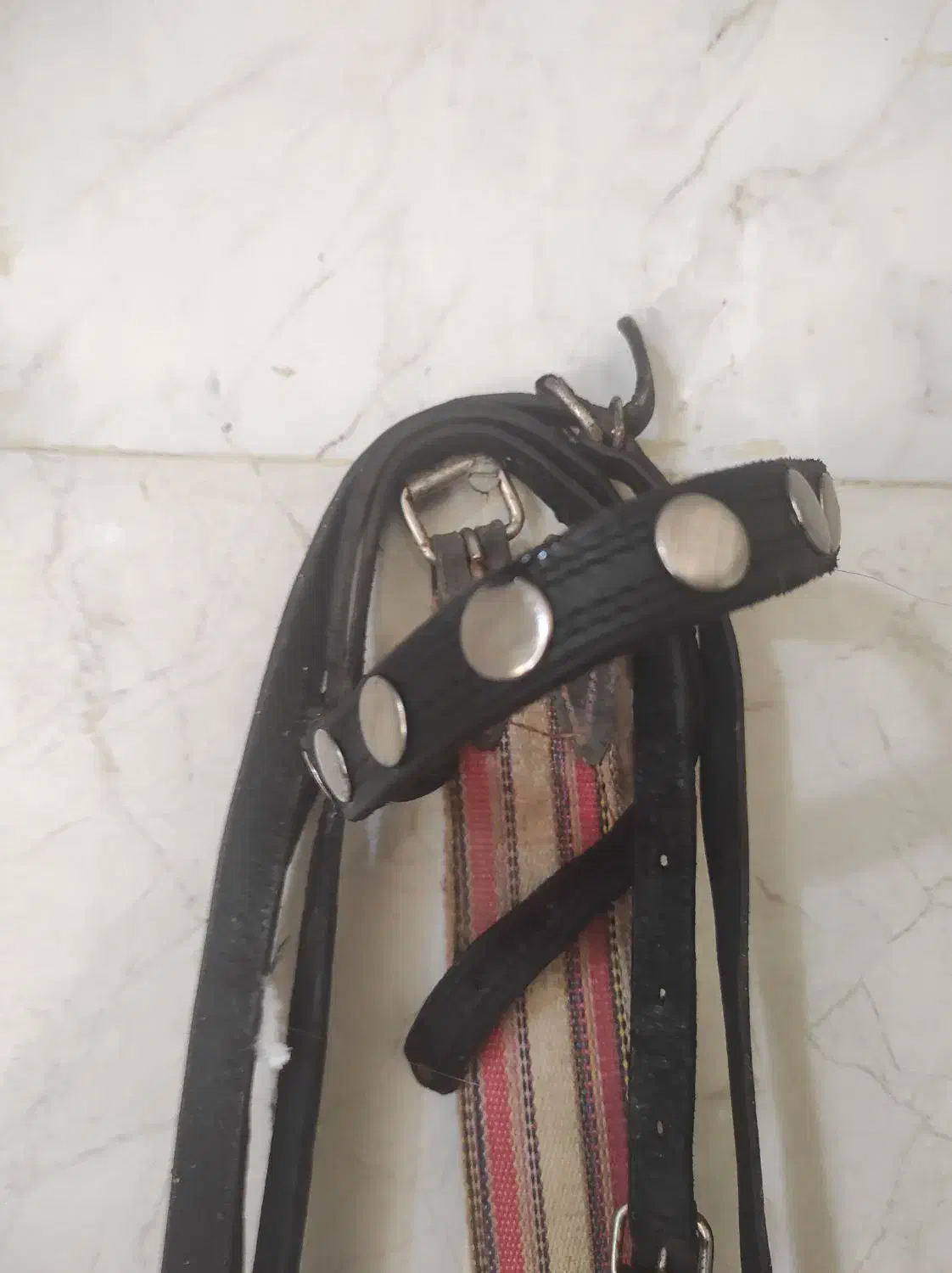 دهنه اسب زیبا وچرم مرغوب|اسب و تجهیزات اسبسواری|قزوین, |دیوار