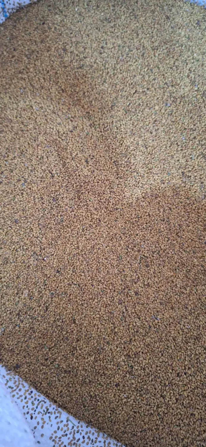 بذر یونجه|لوازم جانبی حیوانات|قلعه گنج, |دیوار