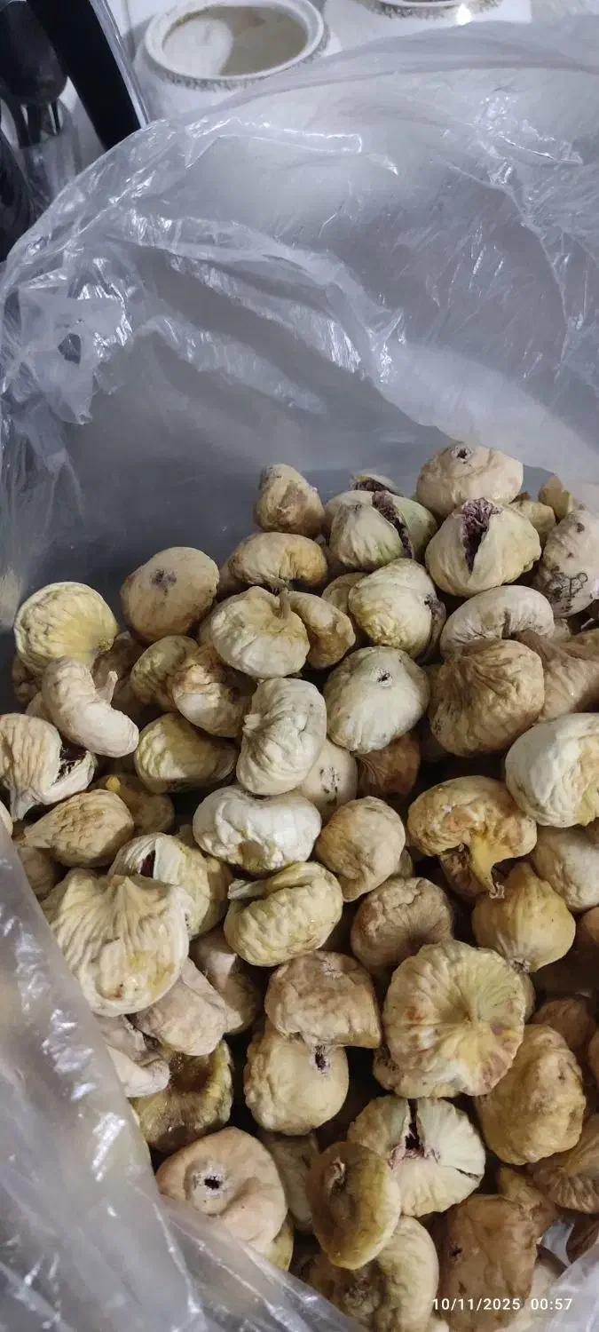 انجیر|خوردنی و آشامیدنی|مرودشت, پشت سایپا‎|دیوار