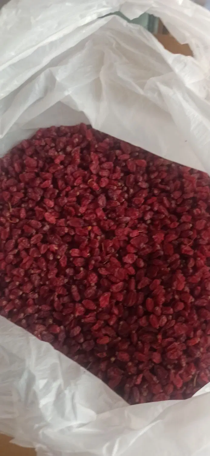 زرشک|خوردنی و آشامیدنی|مشهد, هفت تیر (حافظ)|دیوار