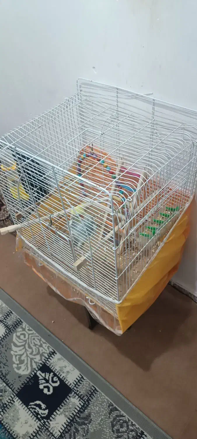 دوتا قفس دونه 200|لوازم جانبی حیوانات|تربت‌حیدریه, داروپخش|دیوار