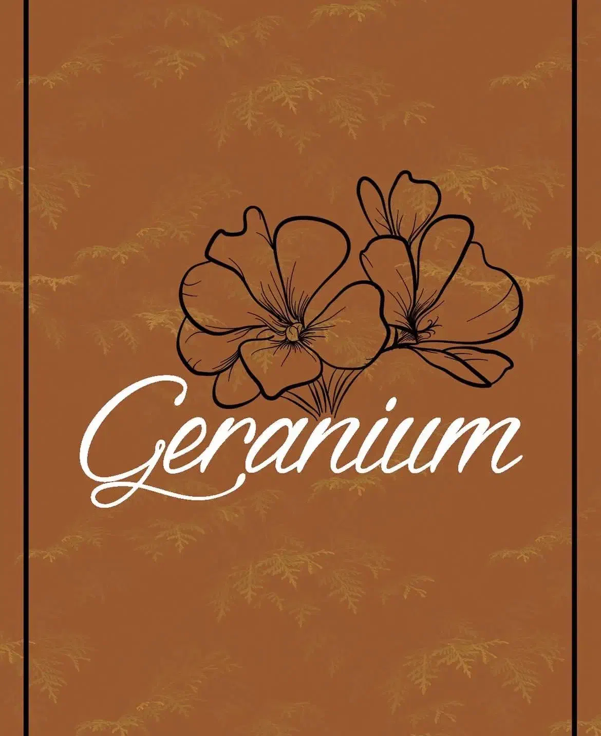 فیلم برداری،تولید محتوا و ادمین برای رستوران|استخدام رایانه و فناوری اطلاعات|بندر انزلی, قلم گوده|دیوار