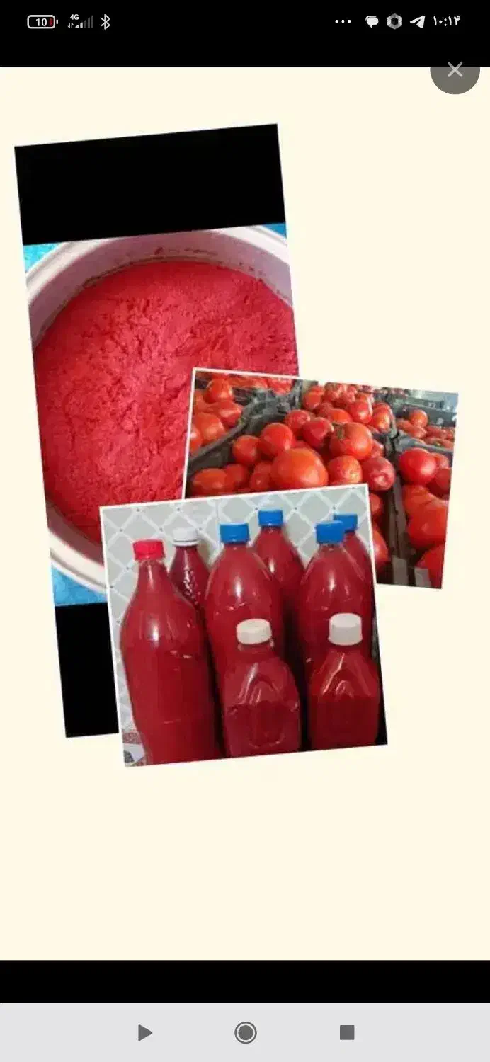 رب گوجه خونگی|خوردنی و آشامیدنی|مرودشت, ولایت|دیوار