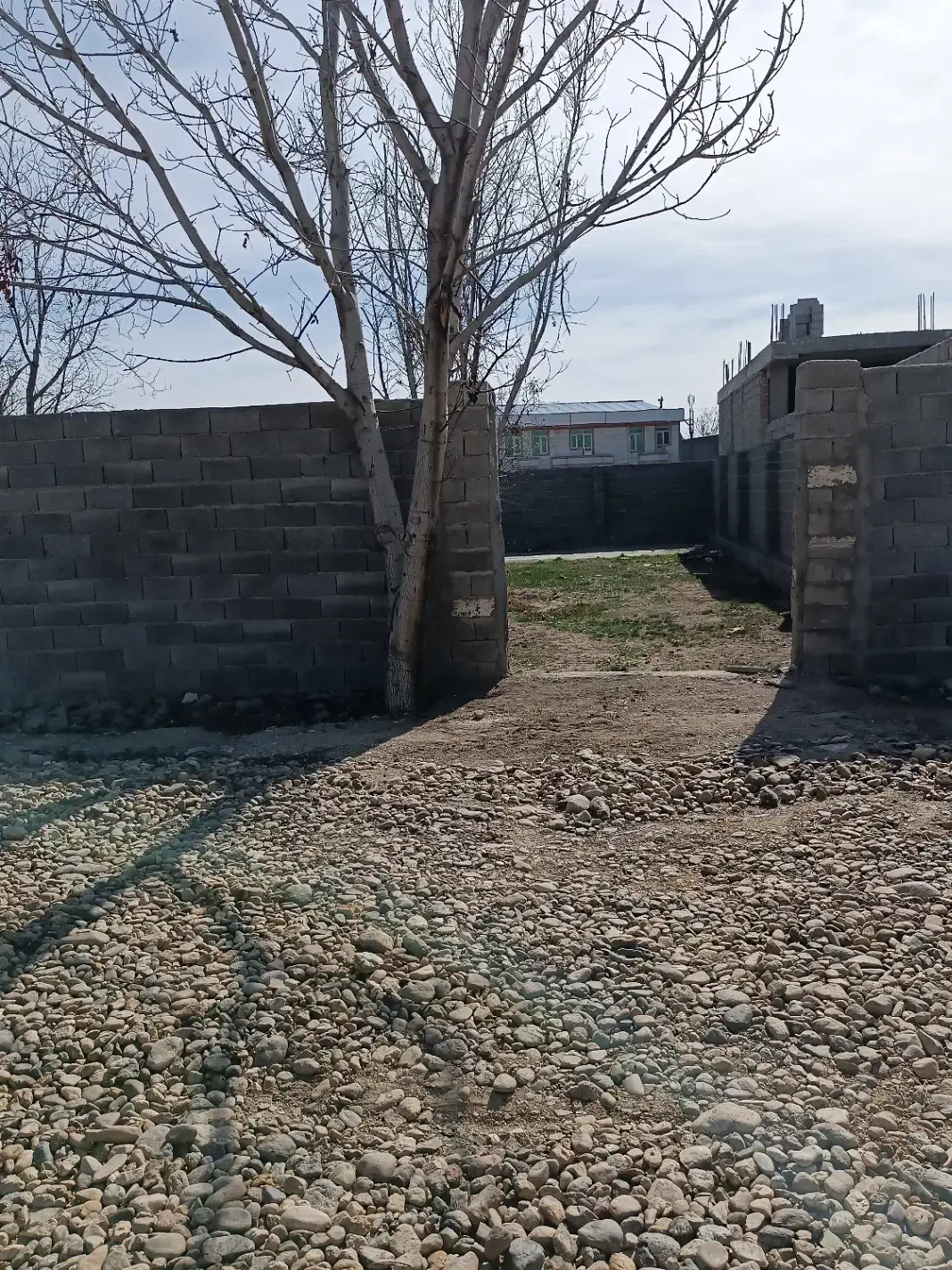 فروش قطعه زمین مسکونی وویلایی درملکان|فروش زمین و ملک کلنگی|ملکان, |دیوار