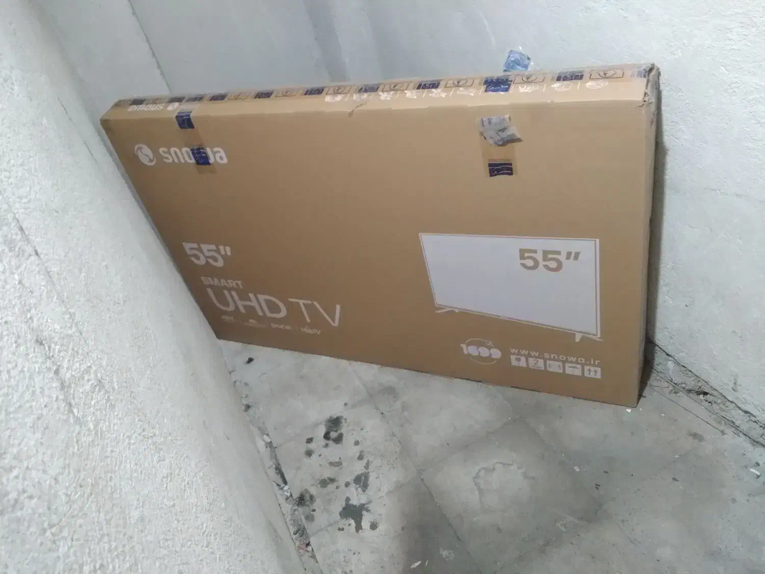 کارتون|تلویزیون و پروژکتور|فردیس, فردیس|دیوار