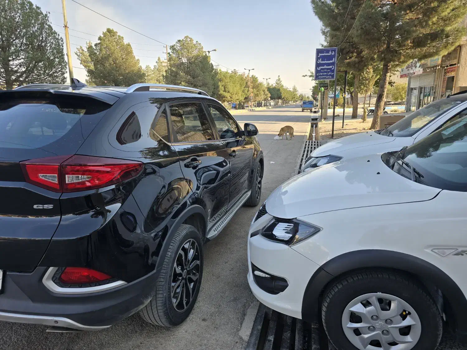 فروشی|خودرو سواری و وانت|بیضا, |دیوار