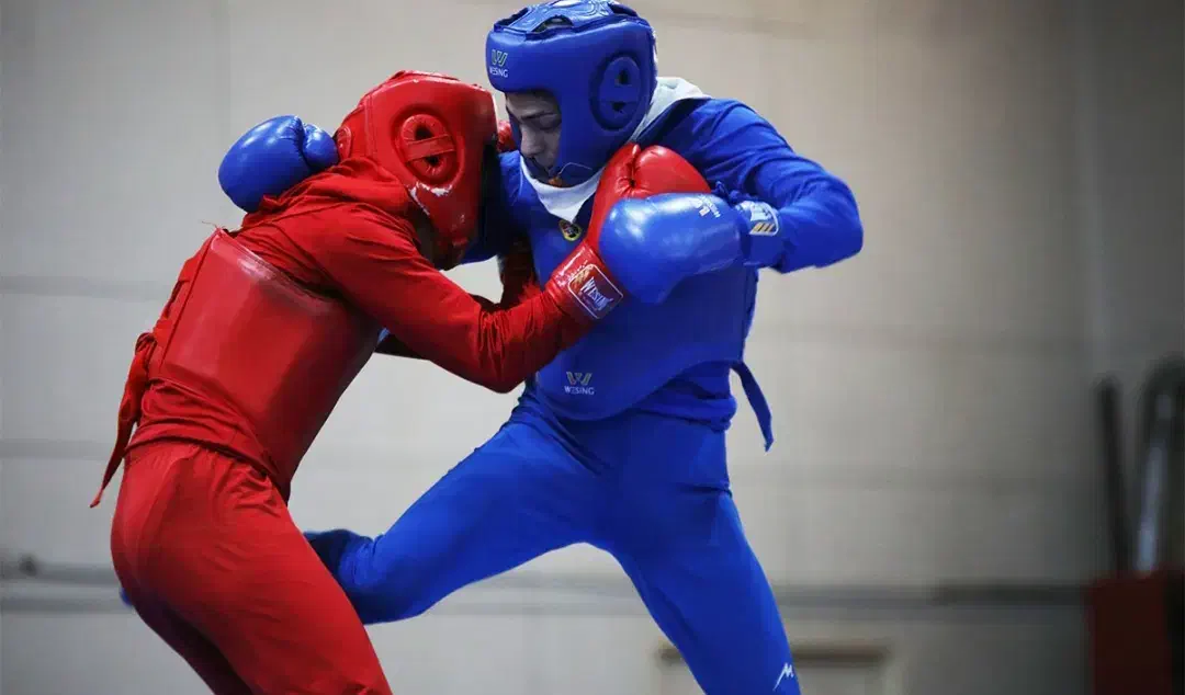 آموزش ووشو رزمی|خدمات آموزشی|زابل, |دیوار