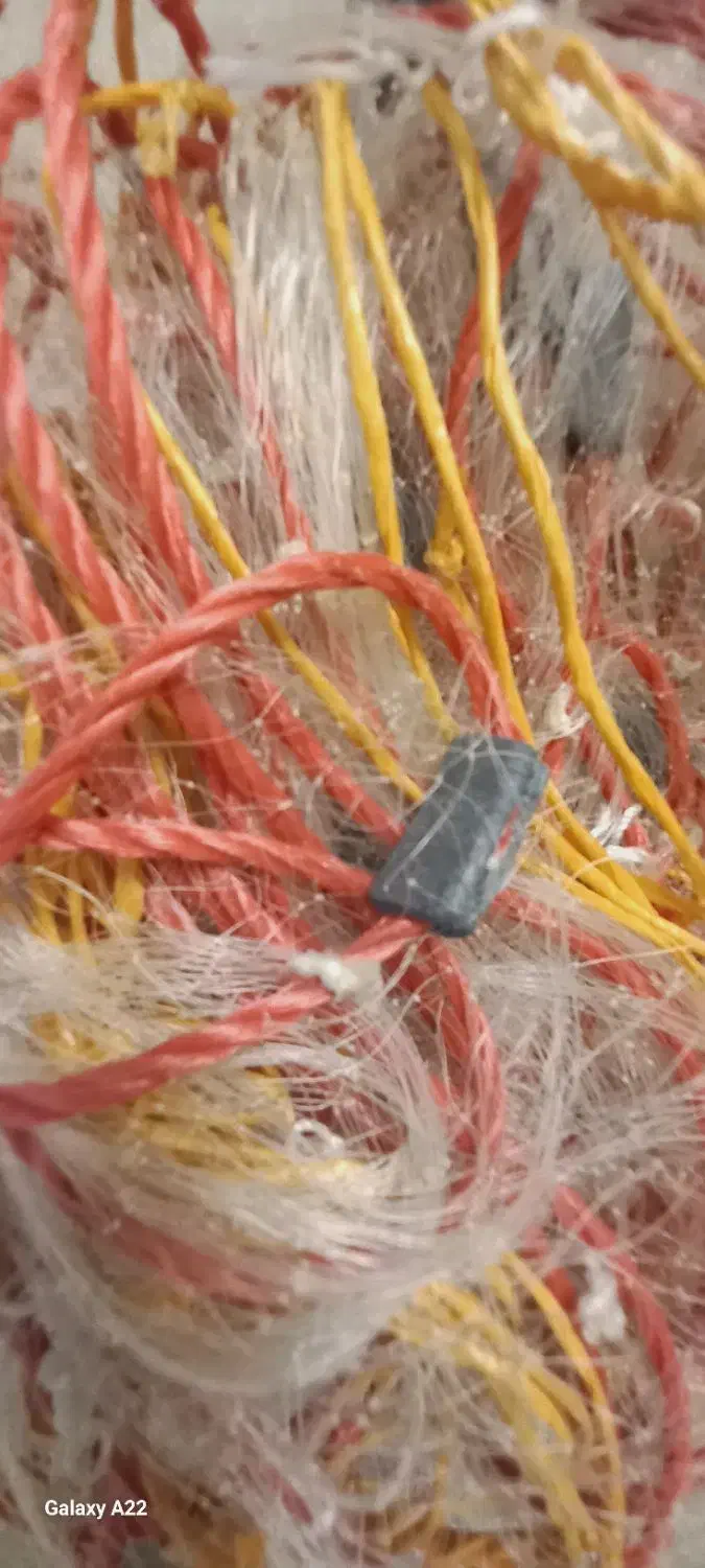 تورماهیگیری|ماهیگیری|زاهدان, |دیوار